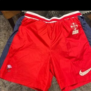 Nike Gyakusou shorts